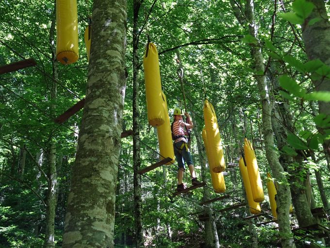 acrobranch_08