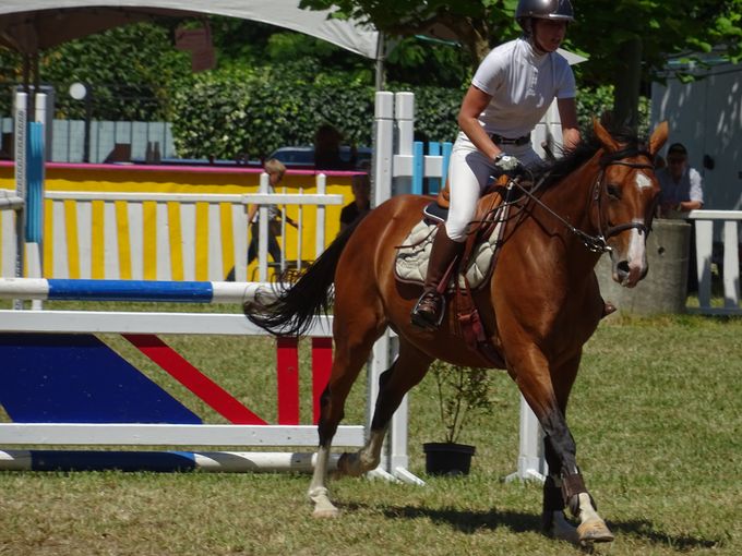 horses_02